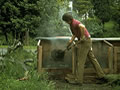 back yard composting